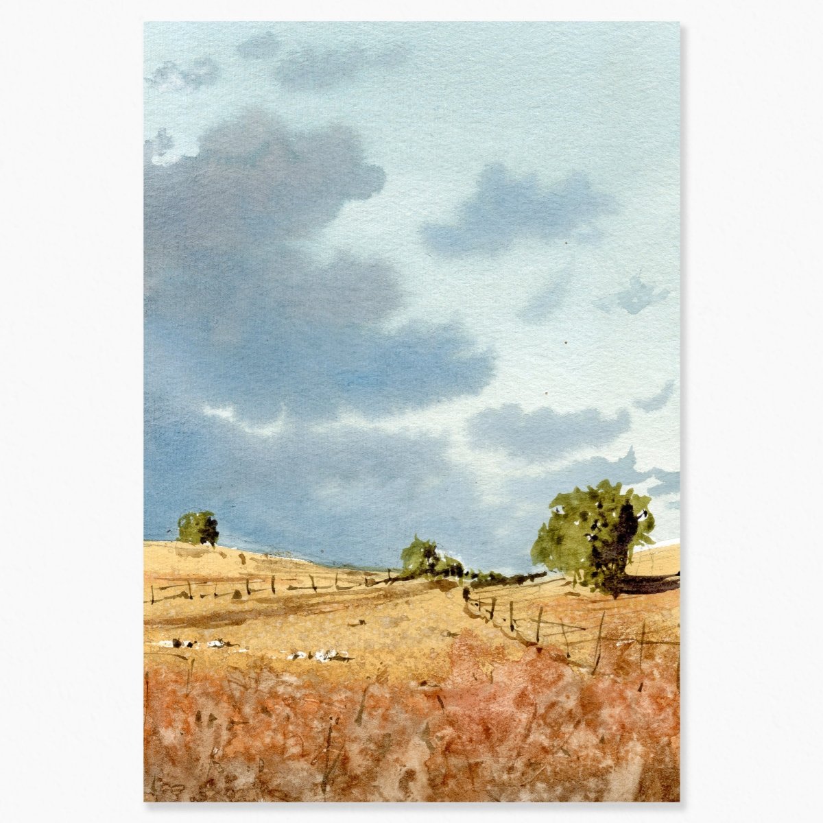 Castilla en acuarela - El campo de Villatoro al atardecer - Pablocuestawatercolor